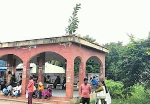 ﻿ பயணியர் நிழற்குடை மீது வளரும் மரக்கன்றை வெட்டி அகற்ற கோரிக்கை