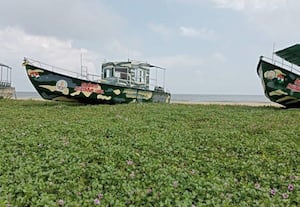 ஆமைகளை பாதுகாக்க 'கடல் உயரடுக்கு படை' ﻿ புது முயற்சி   அத்துமீறினால் படகுகள் பறிமுதல், மீனவர்கள் கைது