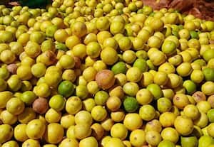 ﻿ வரத்து அதிகரிப்பால் எலுமிச்சை விலை சரிவு