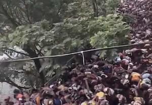 சபரிமலையில் அறக்கட்டளை அமைப்புகளுக்கு தடை; பக்தர்களுக்கு சிரமம் அளிப்பதாக அண்ணாமலை குற்றச்சாட்டு