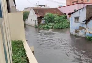 ﻿ குடியிருப்பு பகுதியில் தேங்கிய மழை நீர்