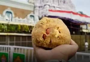 ﻿ திருப்பதி கோவிலில் 20 கோடி கலப்பட நெய் லட்டுகள் விற்பனை; தேவஸ்தான தலைவர் அதிர்ச்சி தகவல்