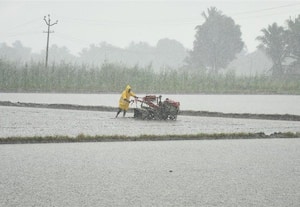 ﻿ மாவட்டத்தில் பரவலாக மழை
