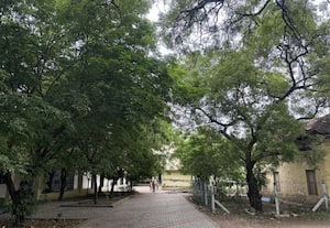 ﻿ வளாகம் முழுவதும் பசுமை, படிப்பதற்கு ஏற்ற சூழல் எழிலாக காட்சியளிக்கும் மாநகராட்சி பள்ளிகள்