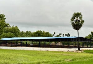 ﻿ திறப்பு விழாவிற்கு தயாராகும் கொந்தகை அருங்காட்சியகம்