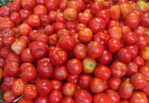 ﻿ தக்காளி கிலோ ரூ.100