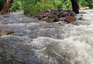கனமழையால் நீர்நிலைகளில் வரத்து ...அதிகரிப்பு:நிரம்பியது 50 நீர்வளத்துறை கண்மாய்கள்
