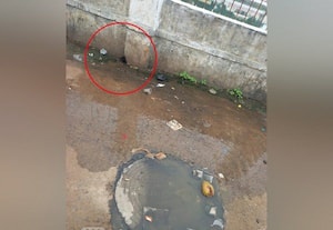 ﻿ புகார் பெட்டி பகுதி