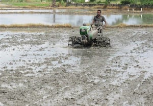 ﻿ பாலாற்றங்கரையோர கிராமங்களில் நவரை பருவ விவசாய பணி துவக்கம்