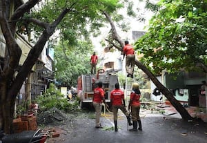 ﻿ வீட்டின் மீது சாய்ந்த மரம் அகற்றம்