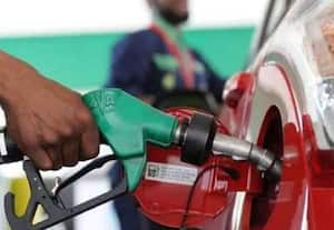 ﻿ 6 மாதங்களுக்கு ஒருமுறை டீலர்களின் வரம்பை திருத்த வேண்டும்: தமிழ்நாடு பெட்ரோலிய விநியோகஸ்தர்கள் சங்க தலைவர் முரளி வலியுறுத்தல்