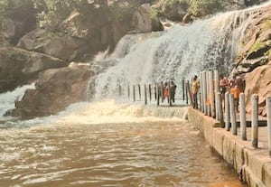 ﻿ பஞ்சலிங்க அருவிக்கு அனுமதி; சுற்றுலா பயணியர் உற்சாகம்