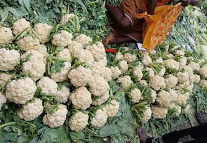 ﻿ மழையால் வரத்து குறைந்து காலிபிளவர் விலை உயர்வு