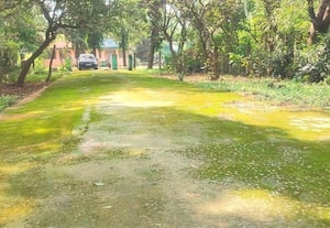 ﻿ பாசி படர்ந்த பாதையில் வழுக்கி விழும் பயணியர்