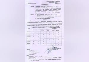 ﻿ தெரு நாய்கள் அல்ல.... சமூக நாய்கள்....