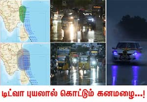 கோடியக்கரையில் இடைவிடாத மழை; அதிகபட்ச மழைப்பொழிவு எங்கே!