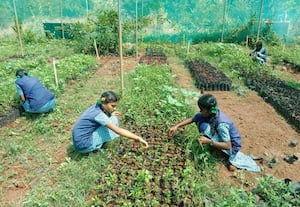 தோட்டக்கலை துறையில் ரூ.60 கோடி 'ஸ்வாகா'