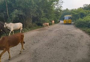 ﻿ குண்டும் குழியுமான சாலையால் வாகன ஓட்டிகள் கடும் அவதி