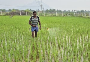 ﻿ யூரியாவிற்கு செயற்கை தட்டுபாடு : தேவகோட்டை விவசாயிகள் புகார்