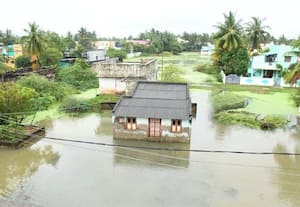 'டிட்வா' புயல் மழையால் மக்கள் இயல்பு வாழ்க்கை... ﻿ பாதிப்பு;  குடிசை வீடுகள், நெல் வயல்கள் சேதம்
