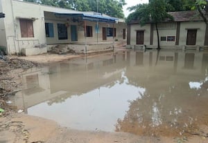 ﻿ மழைக்கு மரங்கள் சாய்ந்தன, வீடுகள் சேதம்