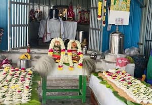 ﻿ சித்தாத்துார் வயலீஸ்வரர் கோவிலில் சங்காபிஷேகம்