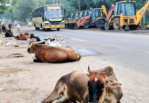 ﻿ ரோட்டை ஆக்கிரமித்த மண் அள்ளும் இயந்திரங்கள்:  மானாமதுரையில் தொடர் விபத்து