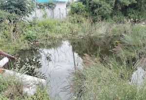 ﻿ பராமரிப்பு இல்லாத வெள்ளாத்துார் ஏரி