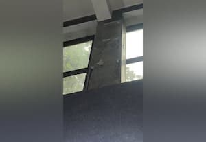 ﻿ 'கிரானைட்' சுவர் பெயர்ந்து விழுந்து நோயாளி உட்பட மூன்று பேர் காயம் அரசு ஸ்டான்லி மருத்துவமனையில் விபத்து