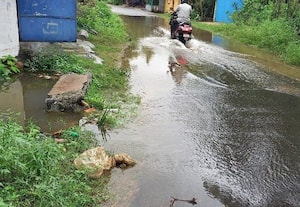 ﻿ டிட்வா' புயலால் நீரில் மூழ்கிய 1,250 ஏக்கர் நெற்பயிர் கடும் பாதிப்பு செங்கை மாவட்டத்தில் இயல்பு வாழ்க்கை முடங்கியது