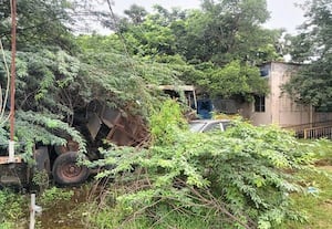 ﻿ சார்- - பதிவாளர் அலுவலகத்தை சூழ்ந்த சீமை கருவேல மரங்கள் அகற்றப்படுமா?