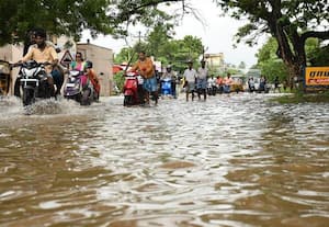 ﻿ மாவட்டத்தில் மீண்டும் மழை: வடக்குத்தில் 98 மி.மீ., பதிவு