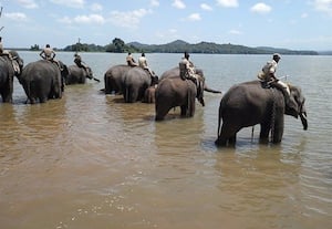 குழந்தைகளுடன் குதுாகலிக்க சக்ரேபைலு யானைகள் முகாம்