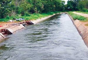 ﻿ பி.ஏ.பி. நீர் தேவை பூர்த்தியாக எளிய யோசனை