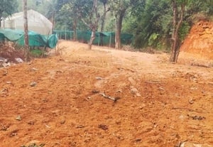 ﻿ ஆபத்தான கட்டடங்கள் இடித்து அகற்றம்; நிம்மதியில் தோட்ட தொழிலாளர்கள்