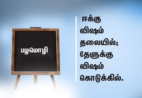 ﻿ பழமொழி:  ஈக்கு விஷம் தலையில்; தேளுக்கு விஷம் கொடுக்கில்.