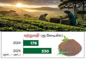﻿ சீனாவுக்கு தேயிலை ஏற்றுமதி அதிகரிக்க இந்தியா தீவிரம்