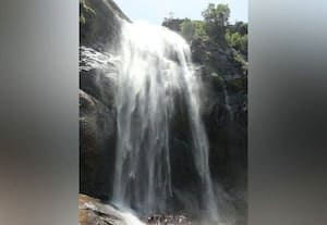 கொல்லிமலை ஆகாய கங்கை நீர்வீழ்ச்சியில் சுற்றுலா பயணிகள் குளிப்பதற்கு அனுமதி