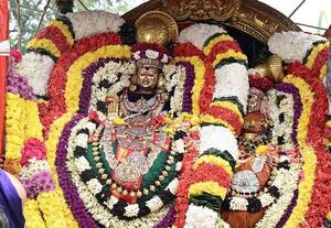  கிரிவலம் சென்ற அருணாசலேஸ்வரர்