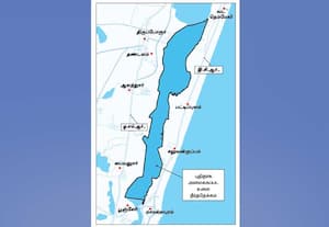   திருப்போரூரில் புதிய நீர்த்தேக்கம் அமைக்க... அனுமதி: 1.60 டி.எம்.சி., நீரை சேமிக்க நீர்வள துறை திட்டம்