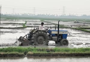  திருவாலங்காடில் கை கொடுத்த மழை உழவு பணியில் விவசாயிகள் மும்முரம்