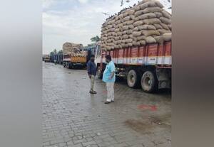  அரவை ஆலைகளுக்கு நெல் மூட்டை அனுப்பி வைப்பு