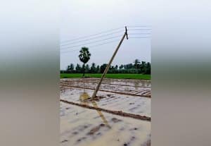 இளையான்குடியில் தாழ்வாக தொங்கும் மின்கம்பியால் l ↓அறுவடைக்கு இயந்திரங்கள் செல்ல முடியவில்லை