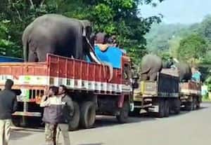 ﻿ இடமாற்ற வழிகாட்டி முறைகள் குழு அமைத்தது அரசு