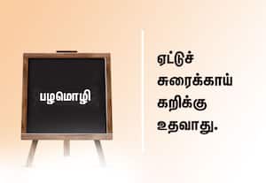 ﻿ பழமொழி:ஏட்டுச் சுரைக்காய் கறிக்கு உதவாது.
