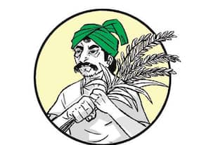 ﻿ பாலாற்றில் நீர் வரத்தின்றி திருப்புத்துாரில் விவசாயம் அழிகிறது நிரந்தர பாசனம் இல்லாததால் குறையும் வேலைவாய்ப்பு