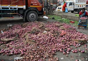 ﻿ மழையால் அழுகி வீணான வெங்காயம்