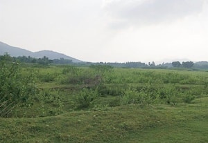 ﻿ தண்ணீரின்றி தரிசாகும் நிலங்கள்