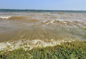 ﻿ கடல் போல காட்சியளிக்கும் மாரநாடு கண்மாய்