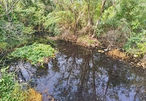 ﻿செங்கை புறநகர் பகுதிகளில் கழிவுநீரால் நிரம்பும் ஏரிகள்; நடவடிக்கை எடுக்காமல் மாவட்ட நிர்வாகம் அலட்சியம்